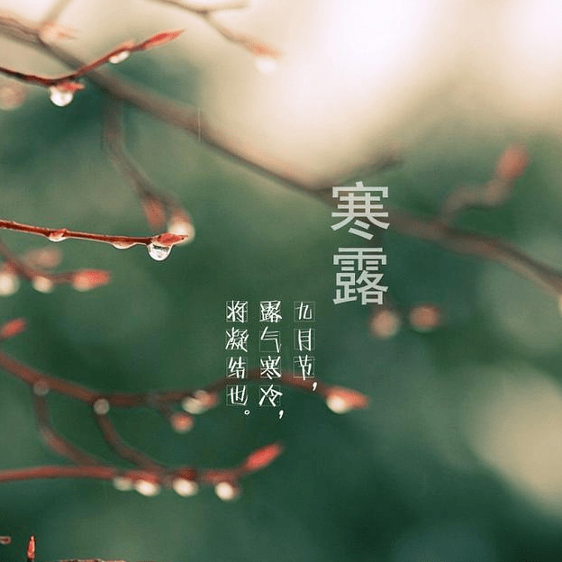 冷秋简谱_儿歌简谱(2)