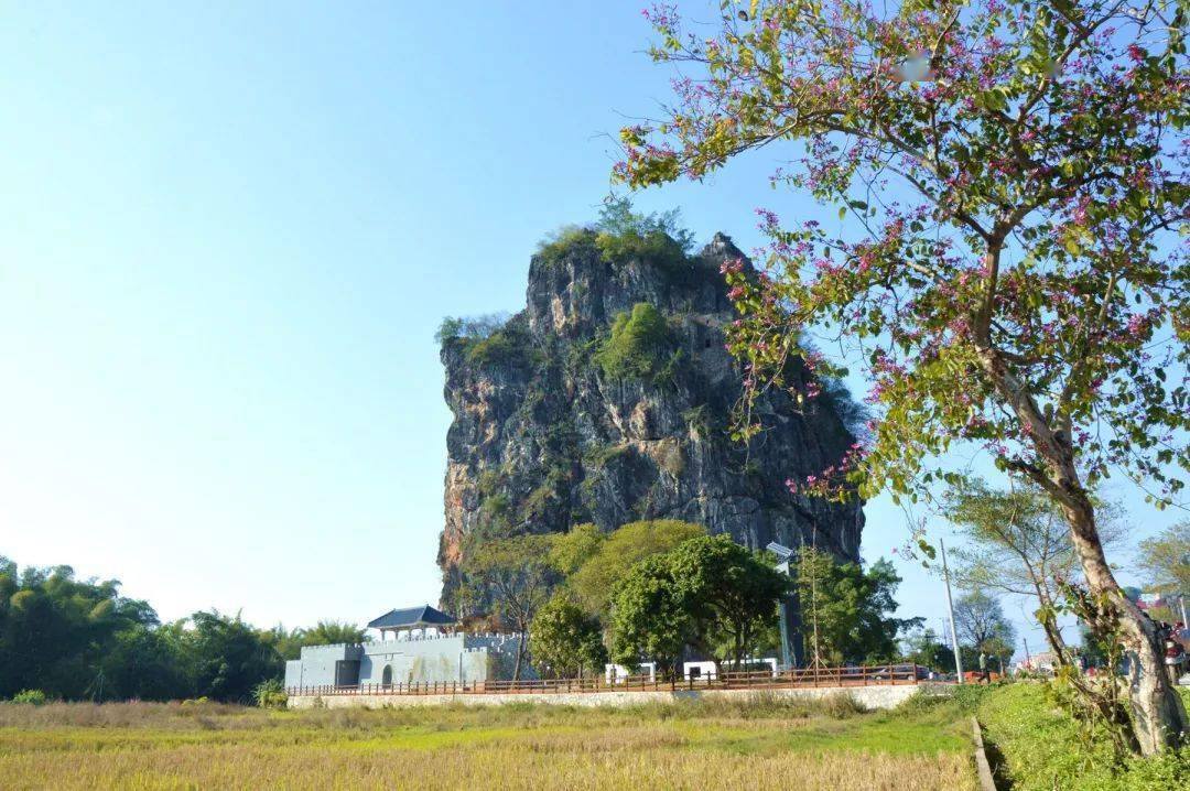 面積最大的縣(市,區)這裡山河川原相接,奇山秀水綿延△懷集塔山看縣城