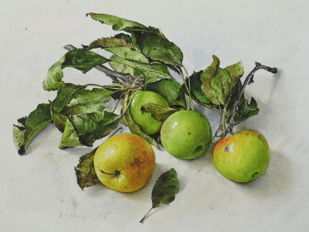 保加利亚水彩画家atanasmatsoureff作品欣赏人物静物