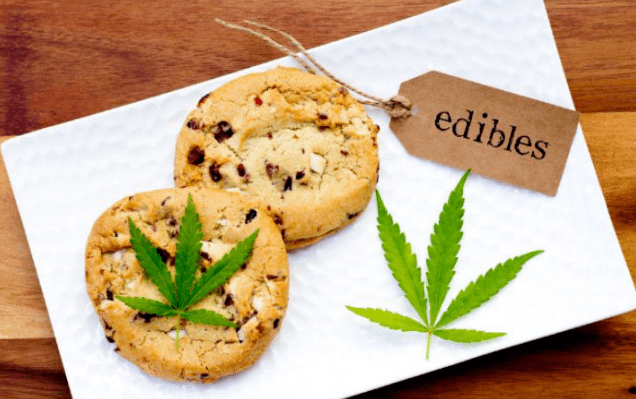 一场疫情,撕下了美国的遮羞布,"人权"神话彻底破灭!_金三角