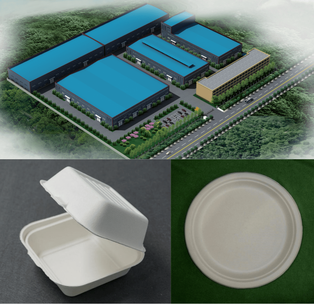 packcon植物纤维模塑包装展区纸塑材料世界环保包装海洋餐包篇