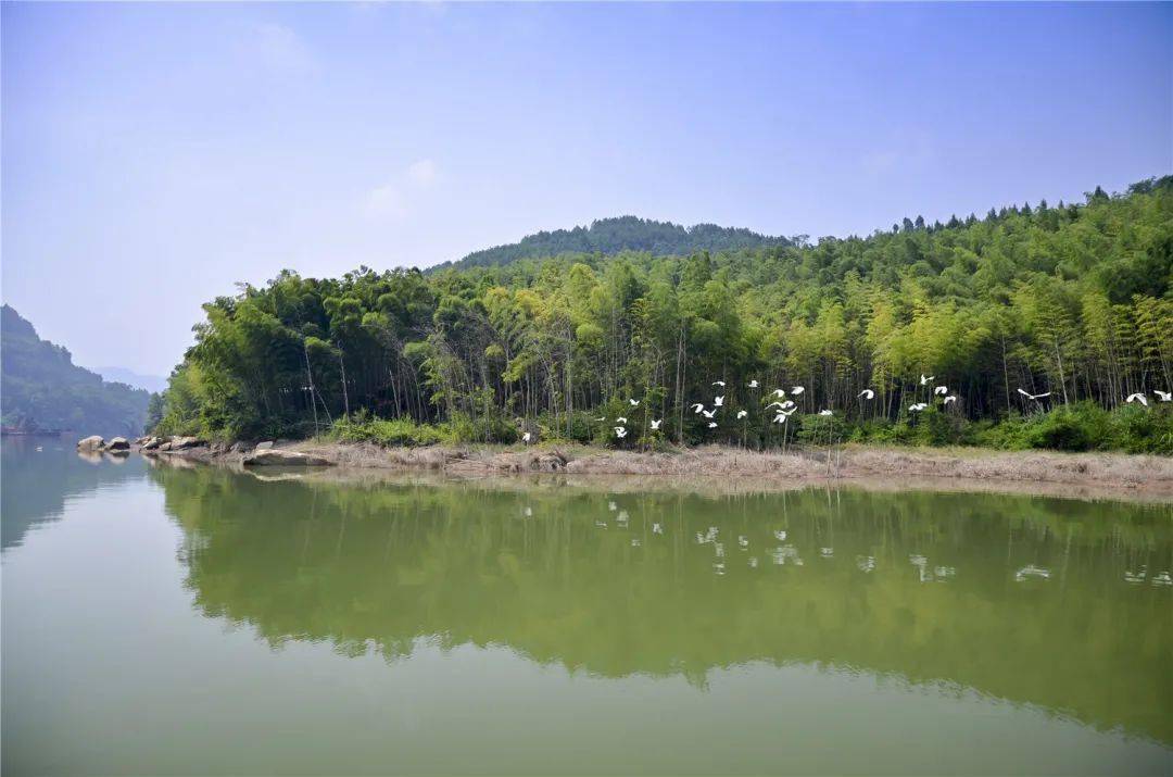 保护"地球之肾",不要让"湿地"变"失地"_陈河镇