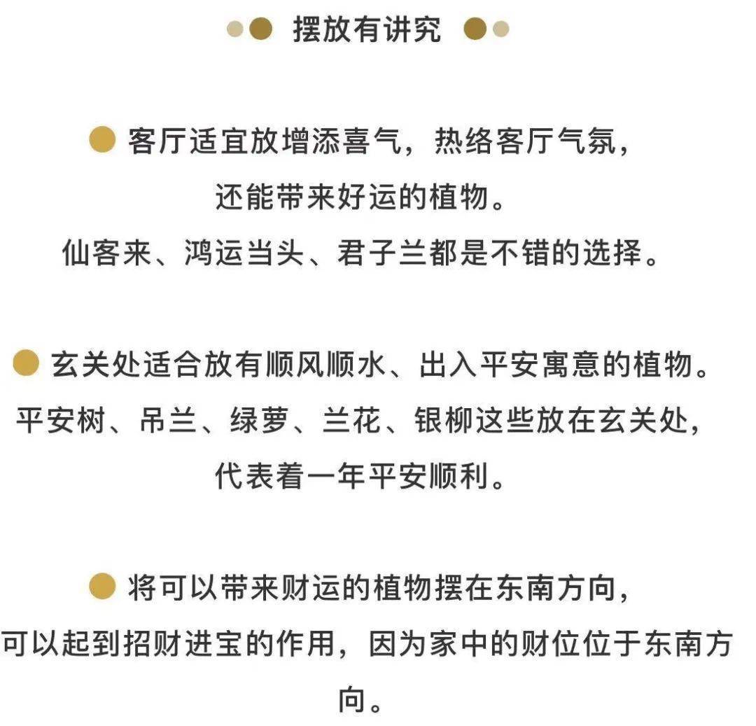 成语义节什么兰_等什么君