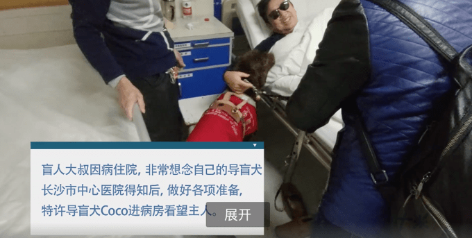 医院特许导盲犬探望生病主人，尾巴瞬间摇成电动马达