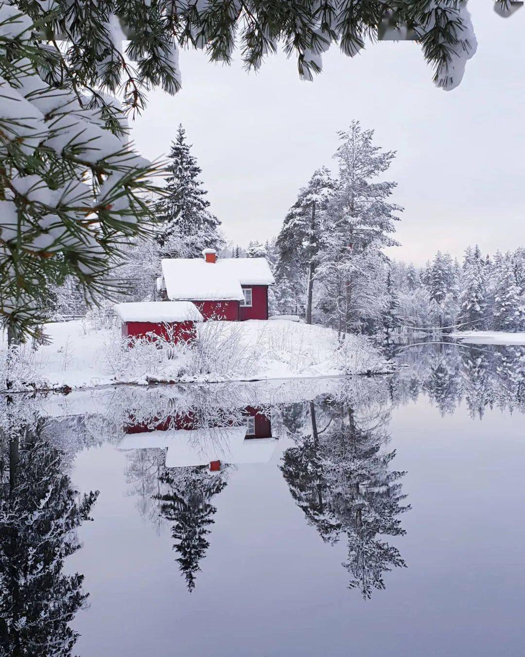 湖边水畔又是一个雪世界