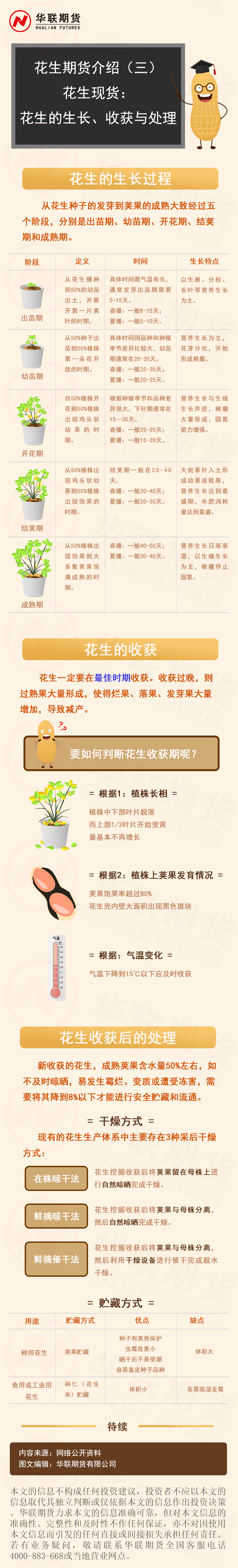 花生什么时候播种图片