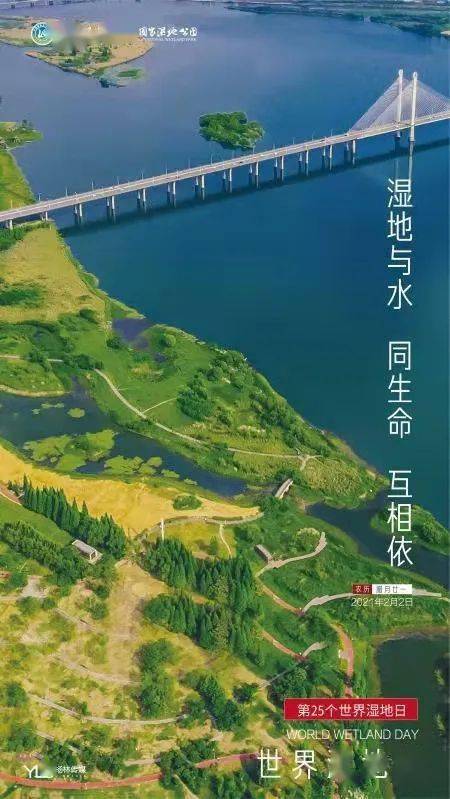 长丰县多少人口_长丰县吴山小学图片(2)
