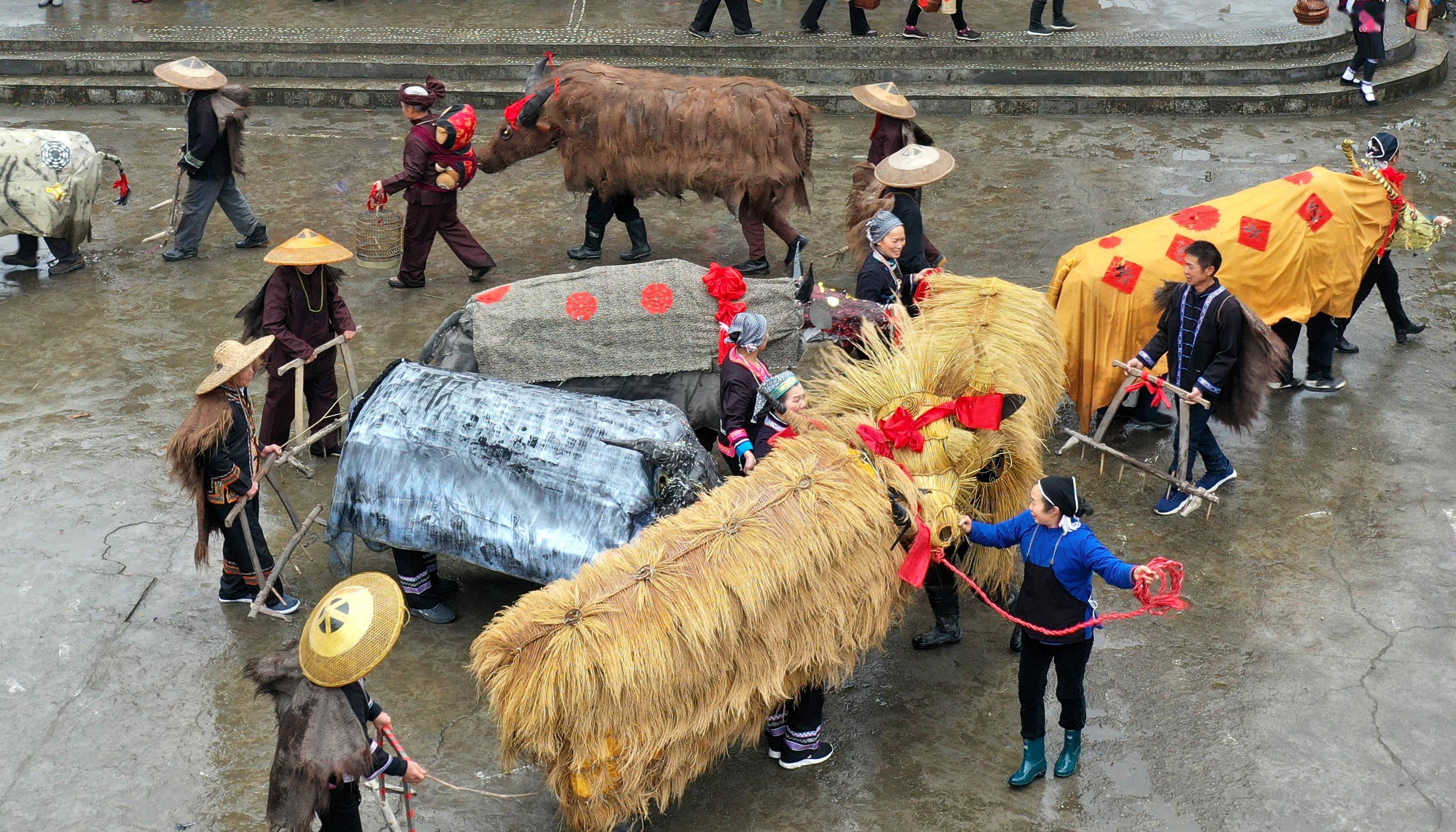 广西桂林:龙胜侗族群众立春"闹春牛"_民俗