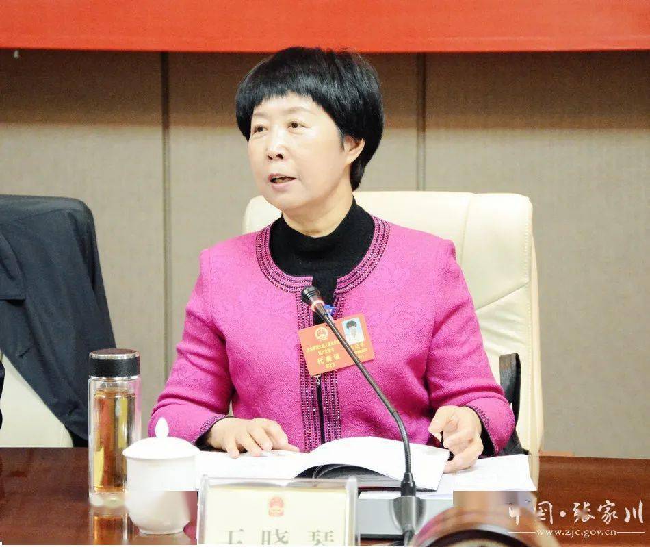市两会蒲军王晓琴逯克宗李焕珍参加张家川代表团审议政府工作报告