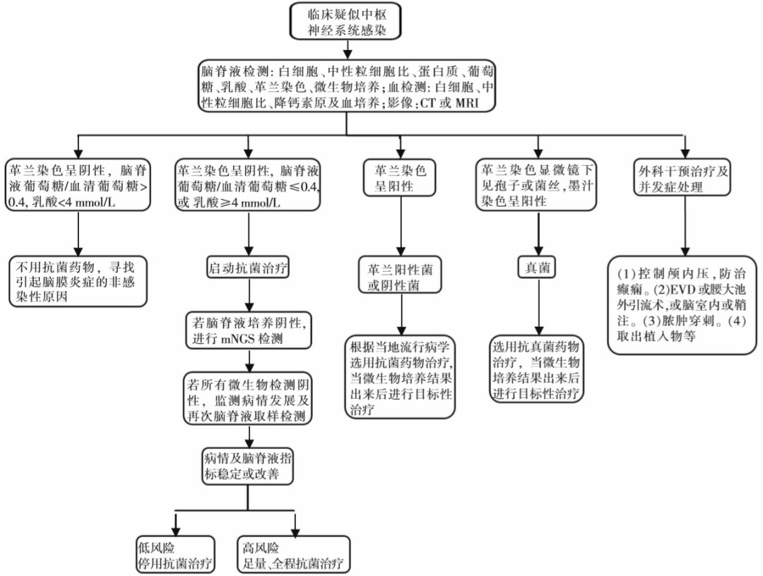 慢性腦膜炎是指腦膜炎症狀和腦脊液中白細案紺nsis診斷和治療流程(圖1