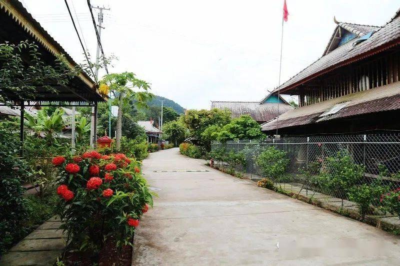 喜讯▏勐腊县这个村又获省级荣誉