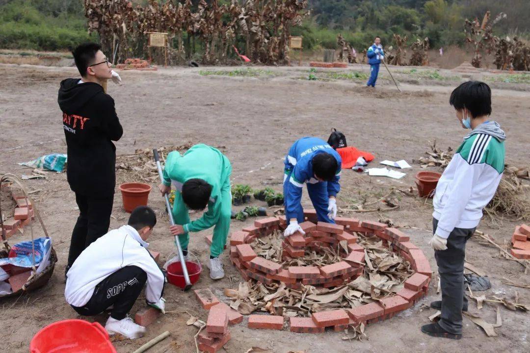 耕读园 萝卜节 进园抢 彩头 种植