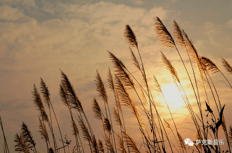 晚风旋律动听适合静静聆听萨克斯唯美音乐