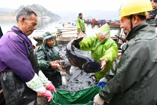 闽浙粤人口_闽粤第一城