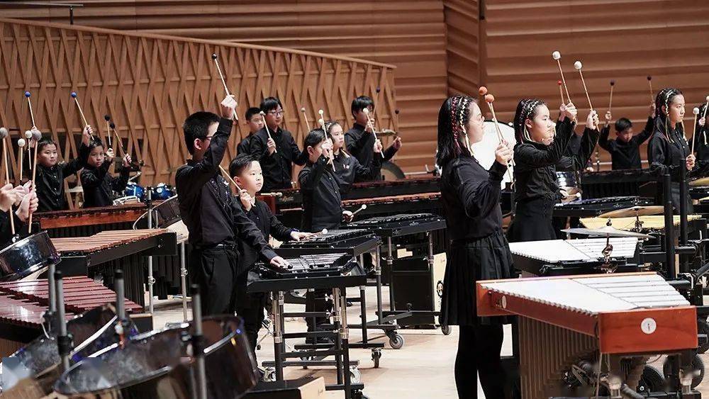 馆办风采击乐青春青春激越上海青少年打击乐团建团十一周年专场音乐会