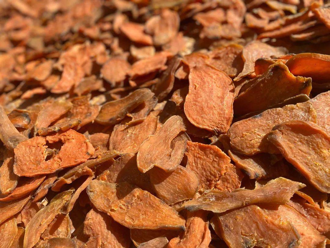 向阳风物系列向阳红心地瓜香而软糯甜到心尖你吃过吗