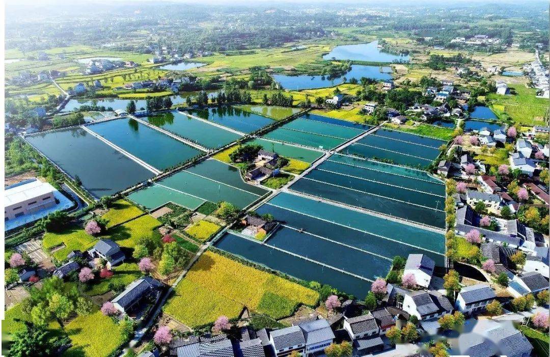 这条推文他们用了一年来书写