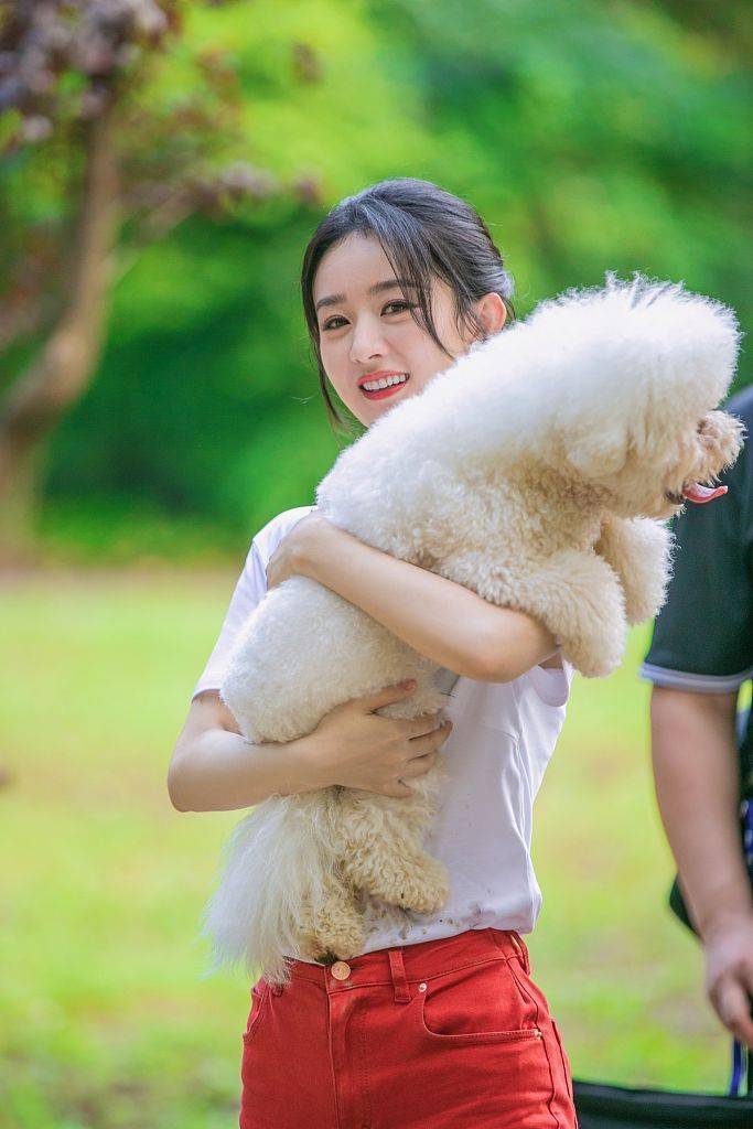 赵丽颖清爽造型甜美可爱 怀抱宠物微笑感染力满分