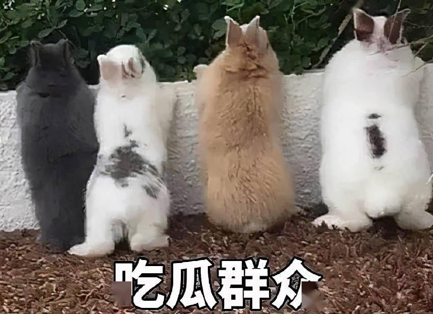 困难户家中放高档酒？原来是这样