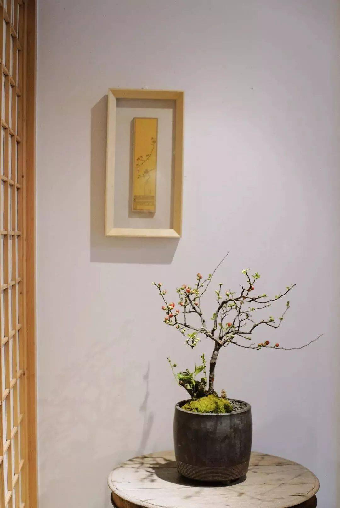 小风水如何把爆款年花改造成仙女本仙