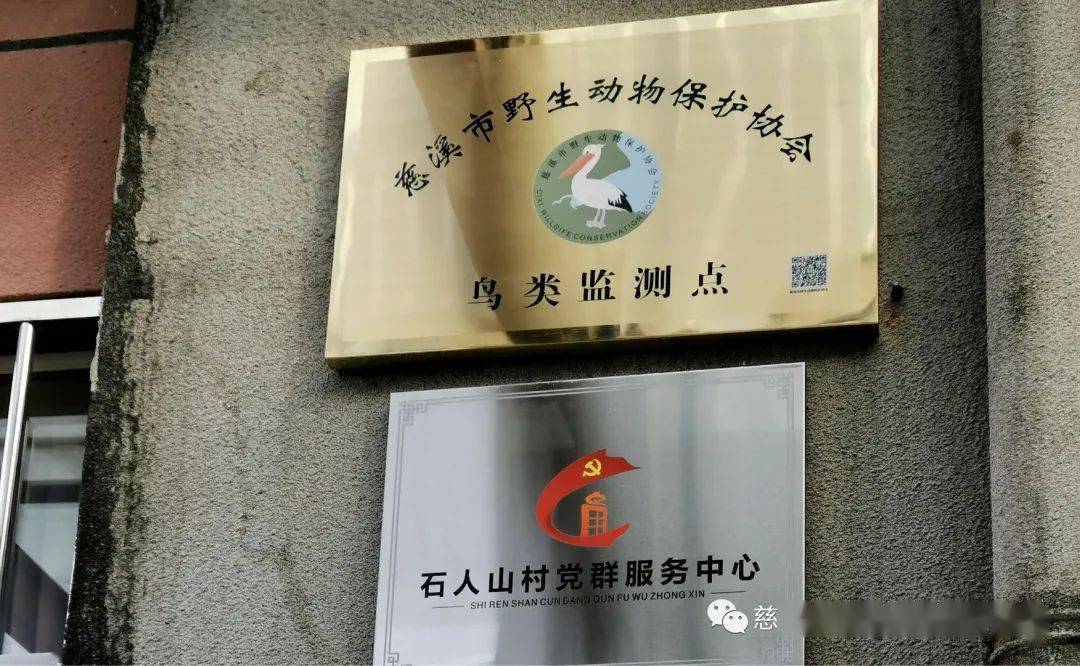 让保护野生动物的理念深入人心n记慈溪市野生动物保护协会鸟类检测点