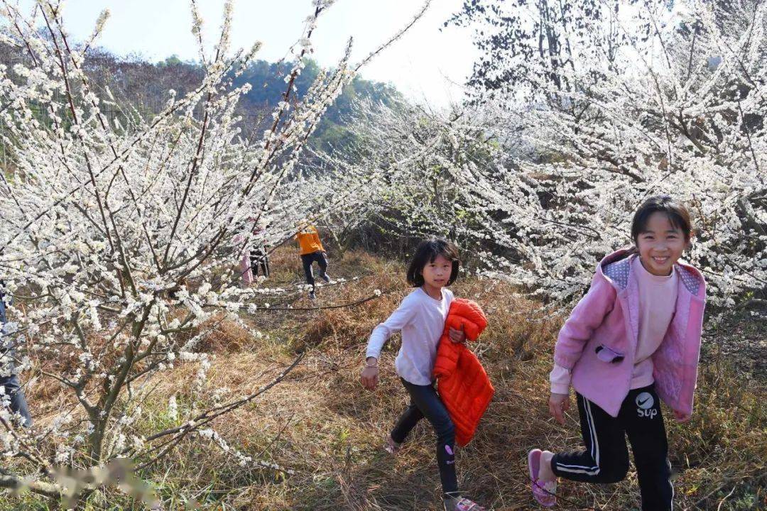 如蜜人口_人口普查