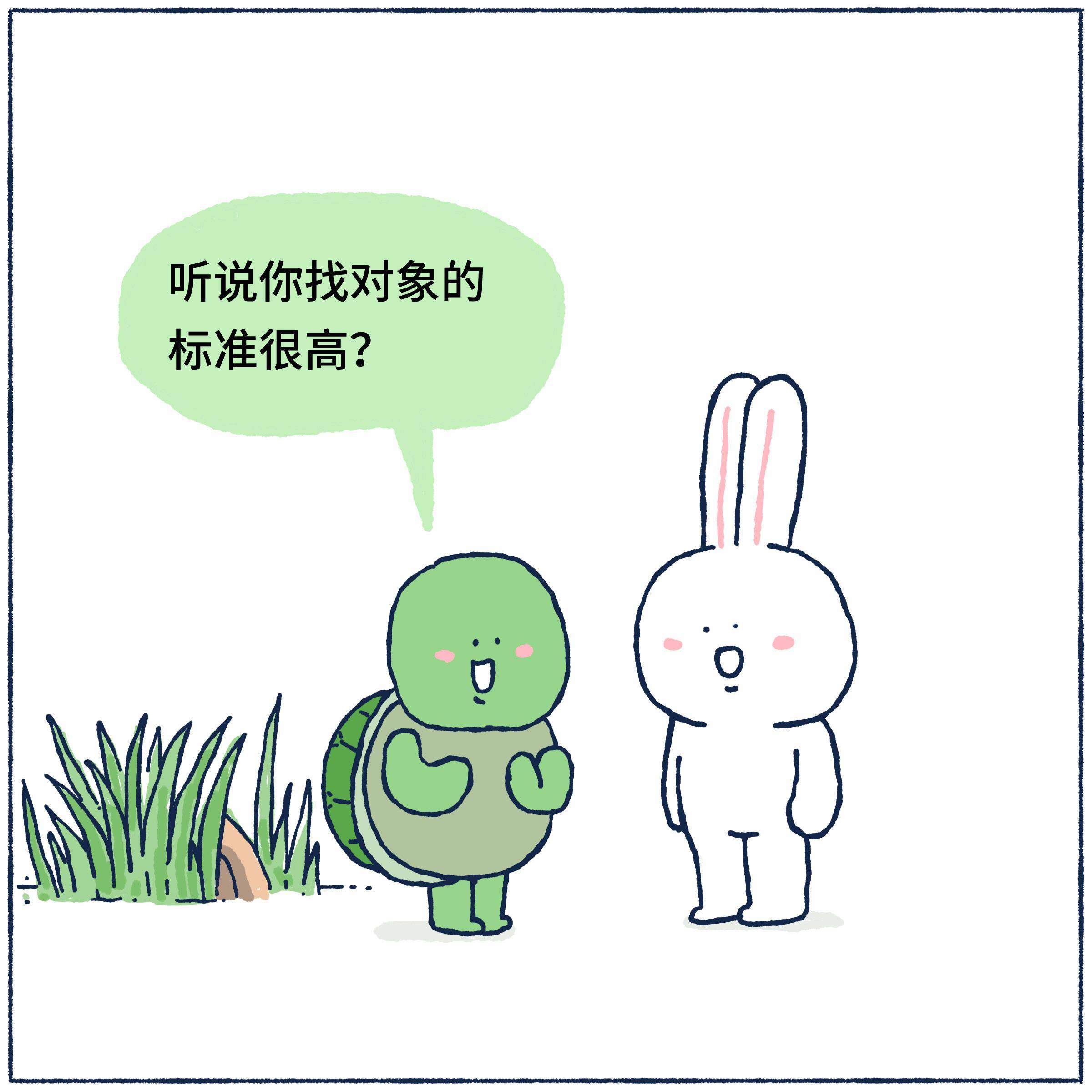 小乌龟给小兔子介绍对象2