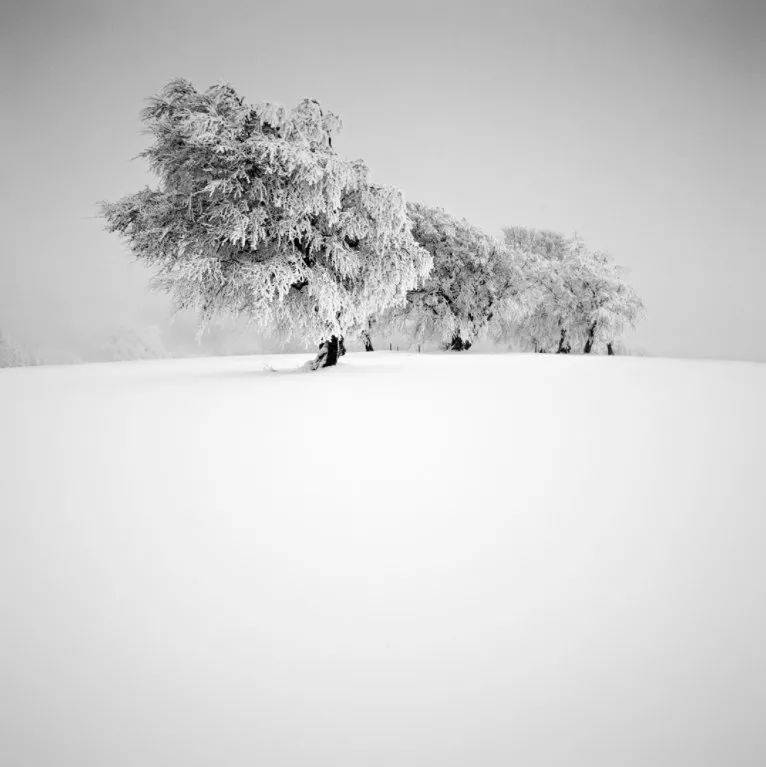 摄影| 寒风凛冽,每个人都承受着生活的重锤.