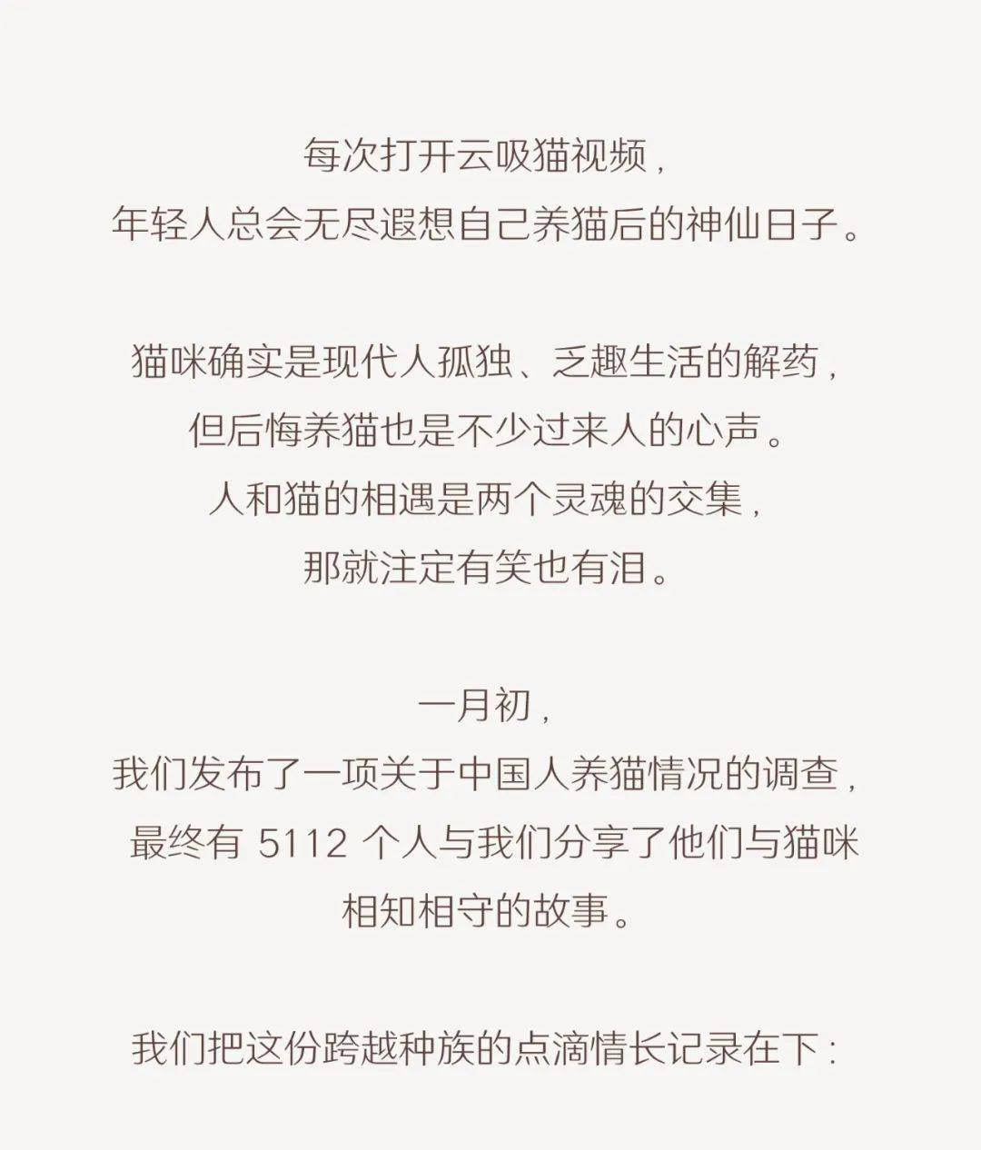 城镇养猫人口_人养猫过敏出红疹图
