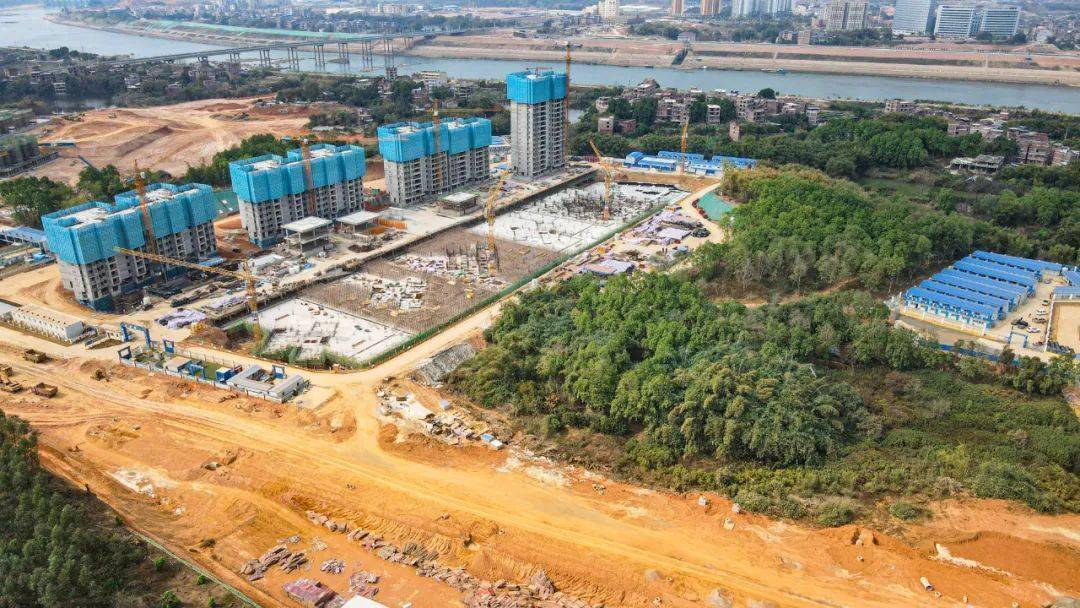 两龙片区,苍海片区等目前梧州已经在长洲岛片区
