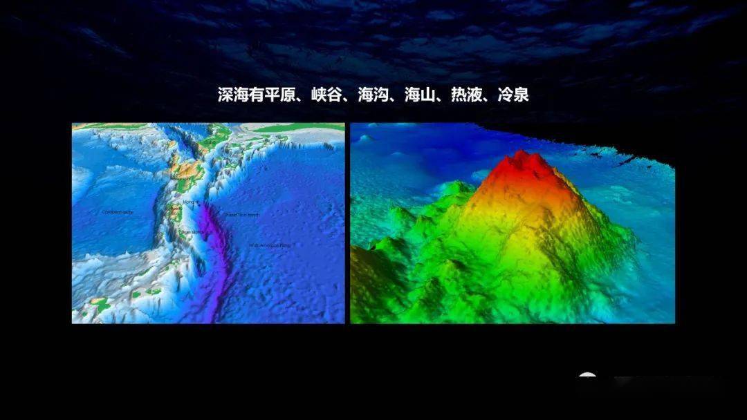 【格致论道】徐奎栋研究员:为解决繁衍问题,这个稀有的深海生物开发出