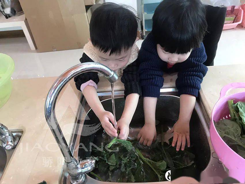 喜欢上吃蔬菜在自主学习和快乐分享活动中摘菜,择菜,洗菜等真实体验