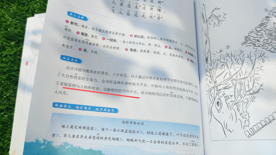 d260f169a1594787be48ff36bc4f5613.png