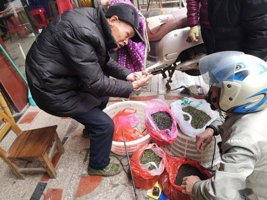 卖鱼条子个人资料图片