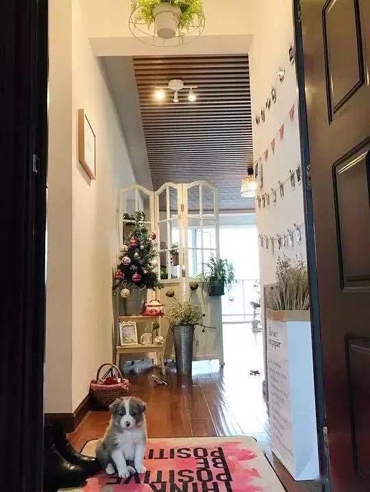 狗又不會說話，你怎麼知道它愛你？ 萌趣萌寵 第2张