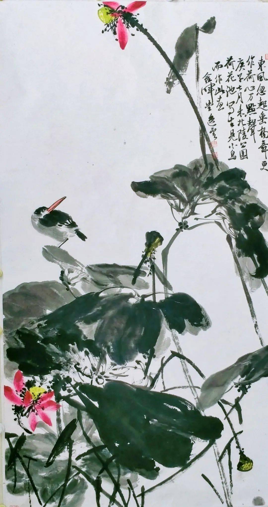 鲁美教授张晖2021新春大拜年