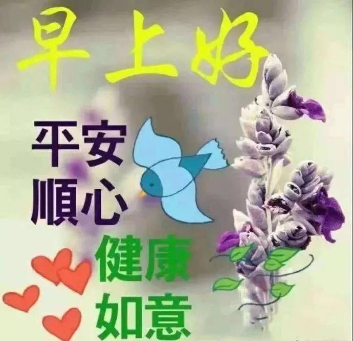 寒冷冬季清晨问候朋友的早上好暖心祝福超漂亮早晨好群发动态美图