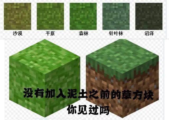 你知道吗 这方块比minecraft诞生时间还要早 云玩家 我不信 游戏