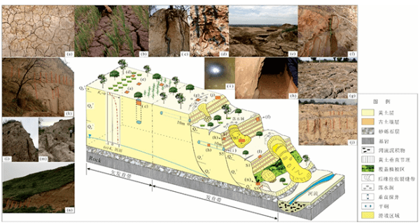 研究提出黄土原生垂直节理起源,发育和演化的新模式