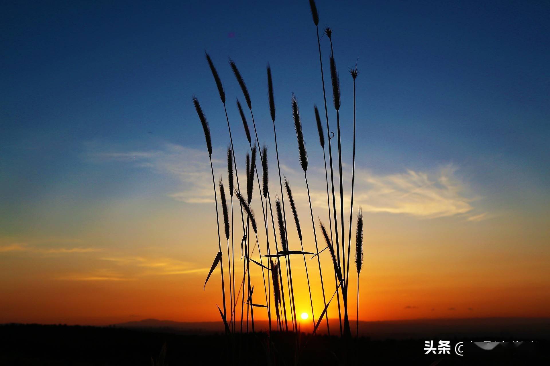 用光影练出摄影眼平常生活也能拍出不普通的照片