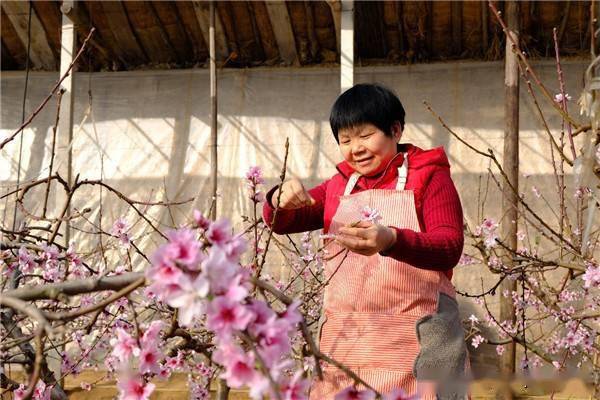 大荔县经济总量_大荔县幼儿园图片(2)