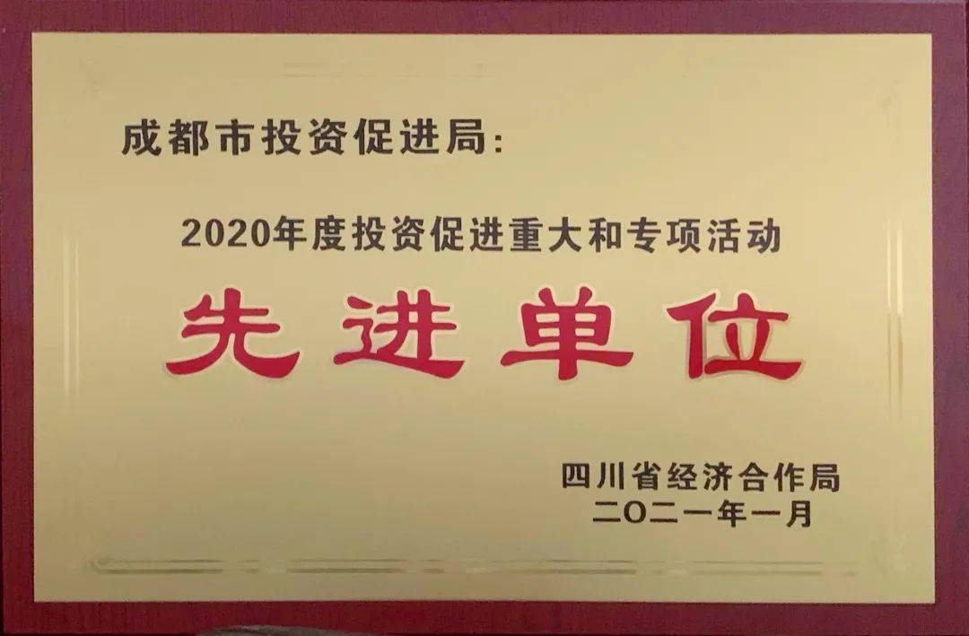 2021成都经济总量五年_五年后小舞图片(2)