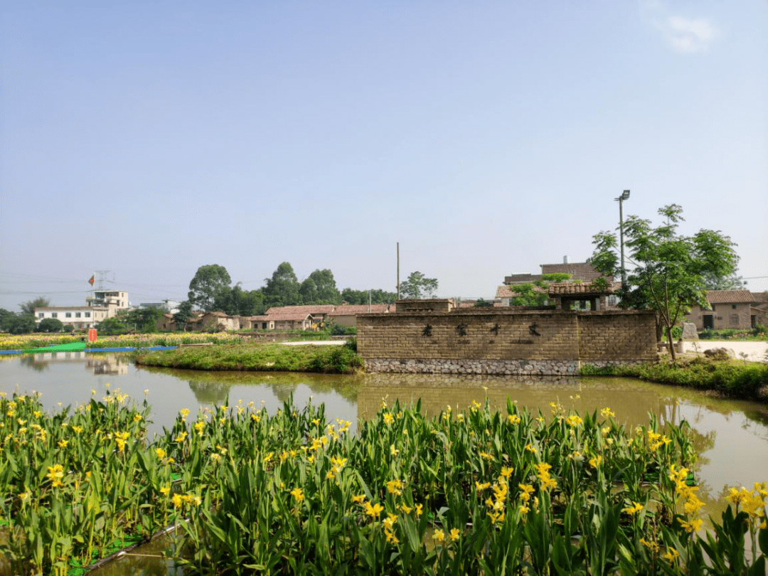 文章配图-33