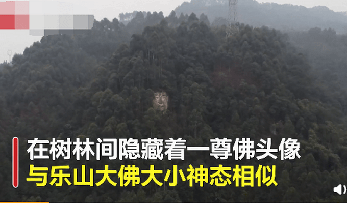 四川乐山一处偏僻山村里，树林中竟隐藏着一尊乐山大佛“孪生兄弟”，当地政府的回应让人意外。