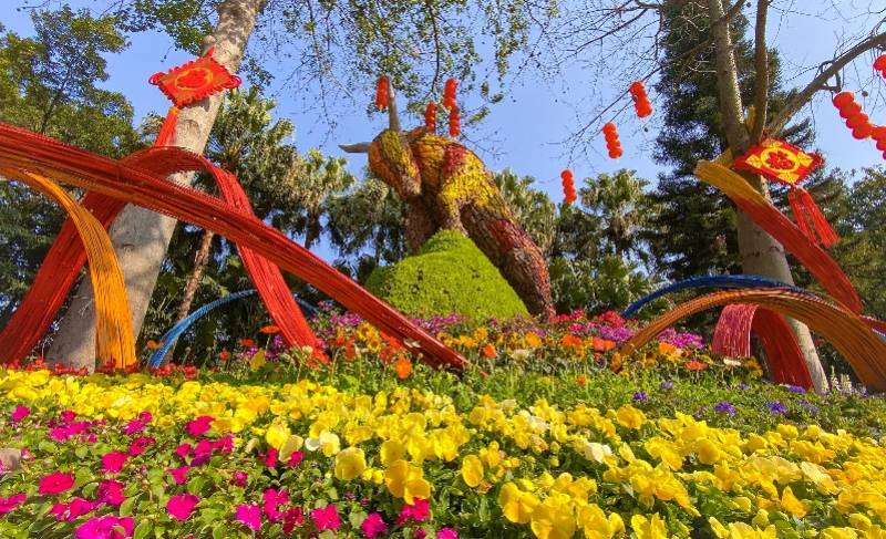 花灯会推迟举办，今年过年广州越秀公园还有这些活动值得打卡