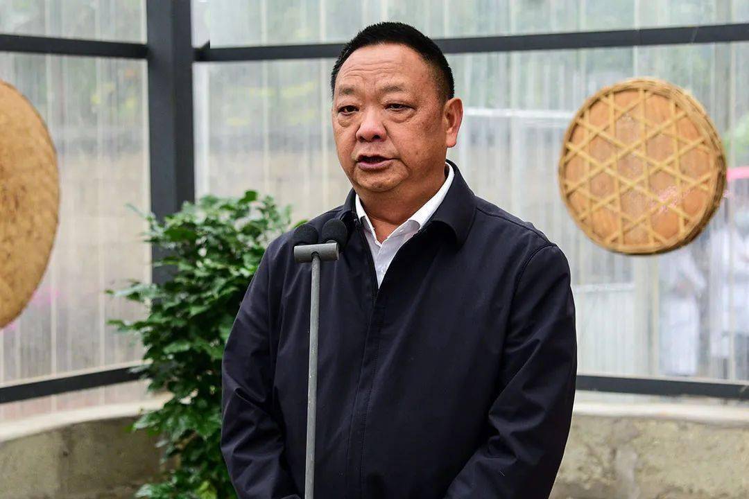 以茶兴邦以茶奔富