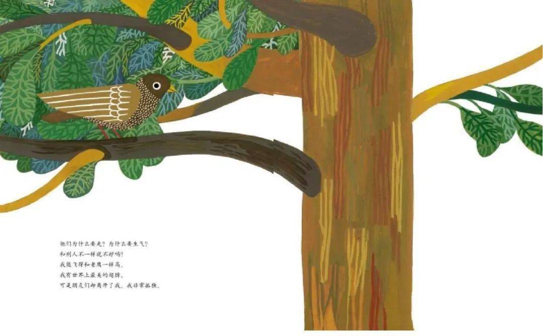 爱心姐姐讲故事 | 《蒂科与金翅膀》_绘本故事