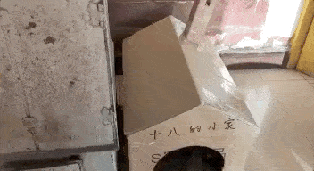 還記得那隻在雪地里被兵哥哥救了的小土狗「十八」嗎？現在它被寵上了天！ 萌趣萌寵 第10张