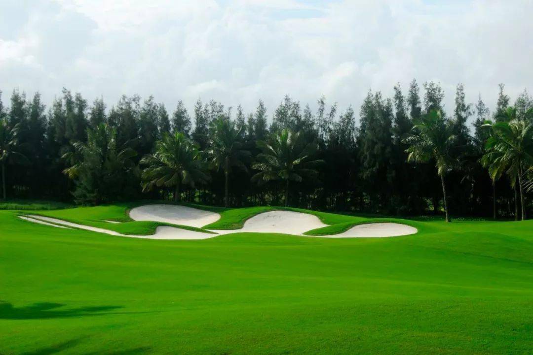 超清草地植物psd素材效果图后期必备附下载链接