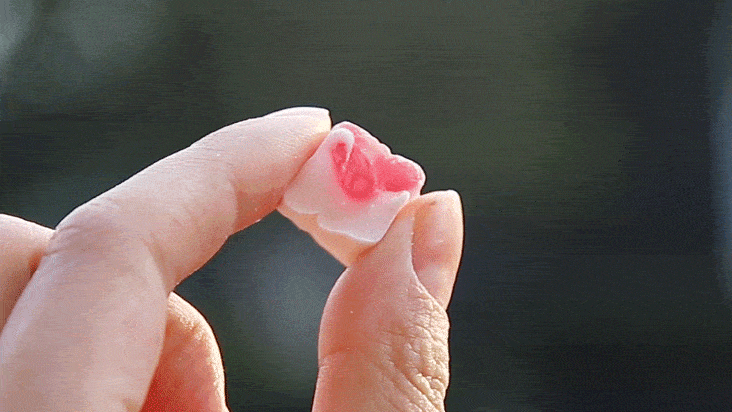 2021「高颜值零食测评」来了!杜绝踩雷,收藏走起!_白巧克力